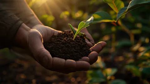 Garden Design: 3 Essential Steps for Beginner Success