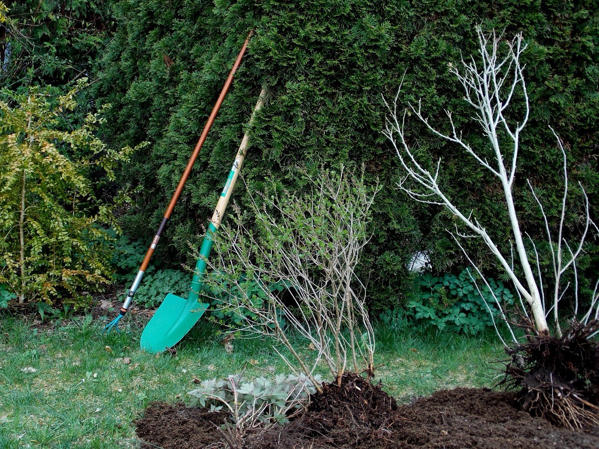 Outils de jardinage et préparation du sol.