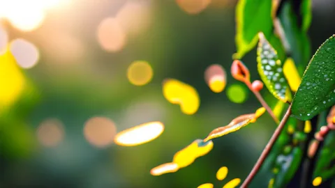 小花園改造術：從功能分割到土壤改良的完整教學完整指南