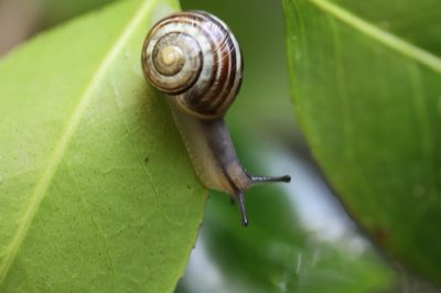 70% Crop Loss: Guide to Precision Watering and Soil Health