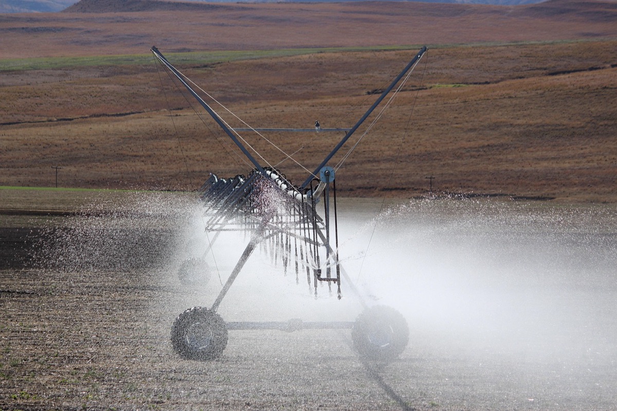 Smart irrigation system