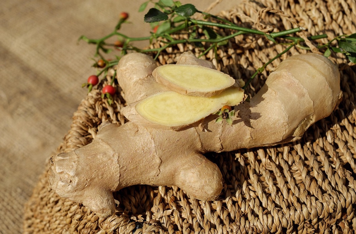 Plant roots surrounded by chunky, airy growing medium