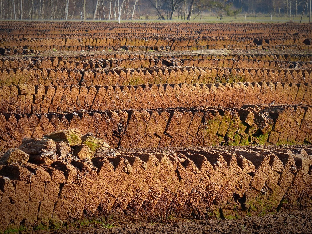 Granulado de fertilizante para macetas