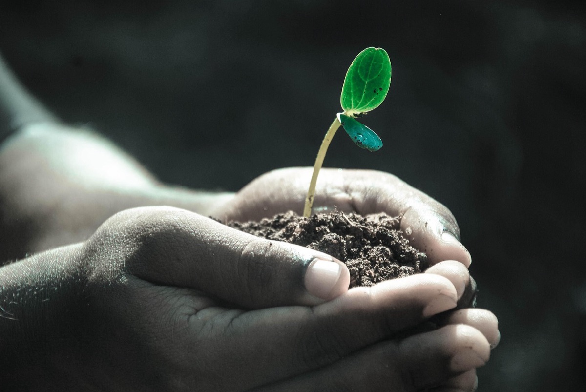 Analisi del terreno e dei nutrienti