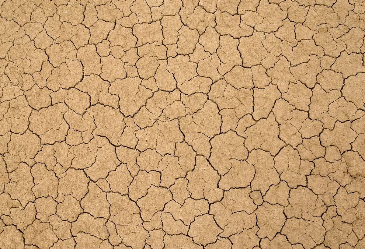 soil, cracks, clay, earth, dry, desert, ground, dirt, texture, mud, crack, nature, cracked, land, dehydrated, broken, surface, terrain, environment, soil, soil,