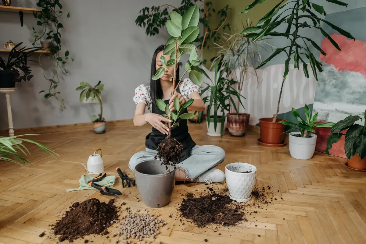 室内で、さまざまな緑の植物と園芸工具に囲まれた女性が慎重に植物を置き直している。