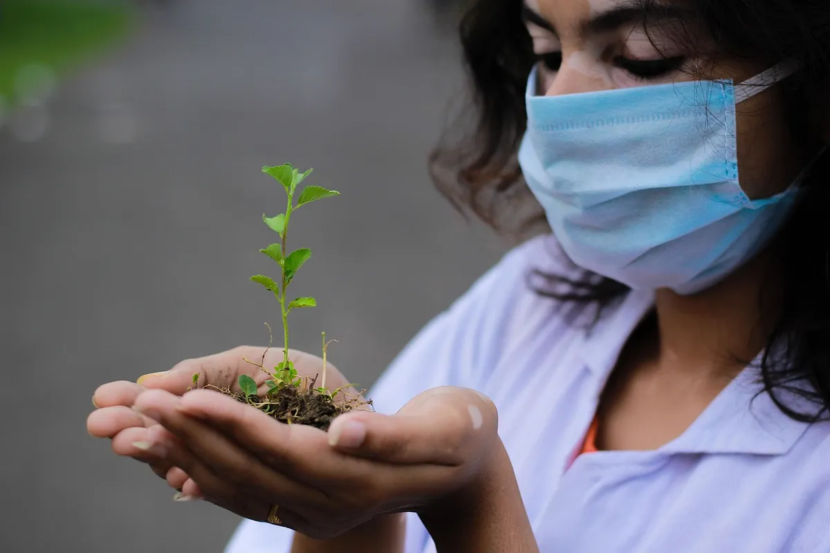 plant, seedling, researcher, hands, nature, mask, face mask, planting, closeup