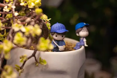 Small yard pot selection for beginners easy garden pots