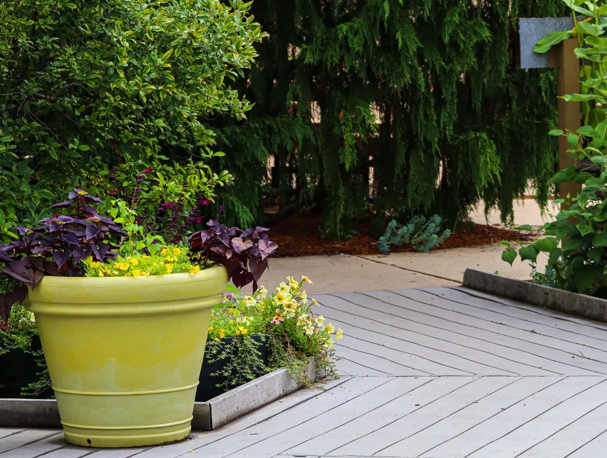 Colorful garden scene featuring a large yellow planter and diverse plants on a wooden deck.