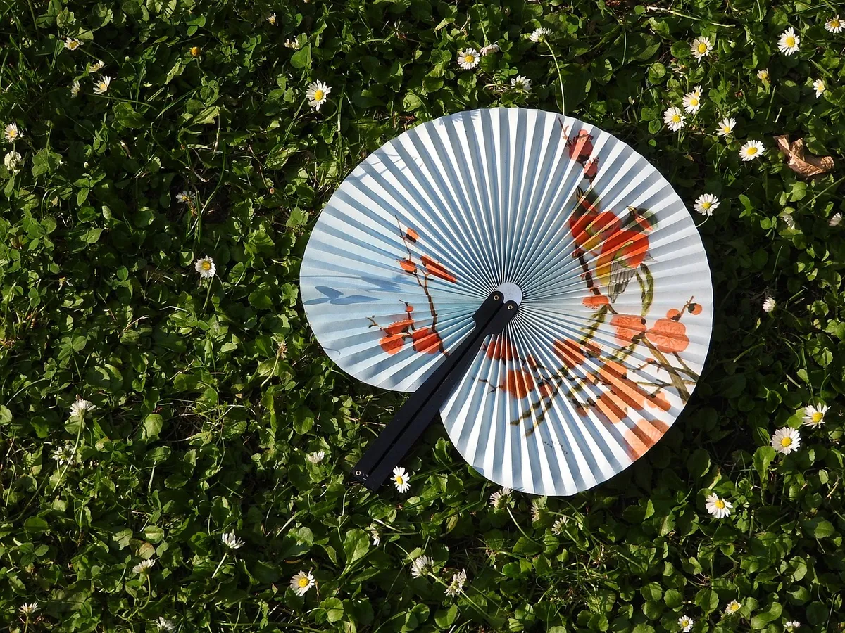 fan, grass, accessories, nature, asia