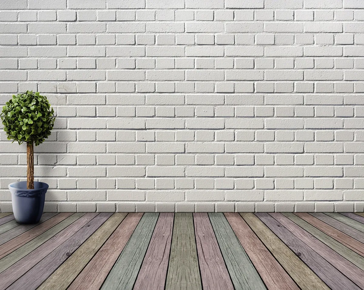 space, empty, nature, wooden floor, plant, plant pot, boxwood, deco, houseplant, white, inner space, wooden floorboards, coloured, wall, room, stone wall, archi