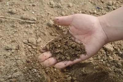 How to make garden compost: Guide to moisture and air