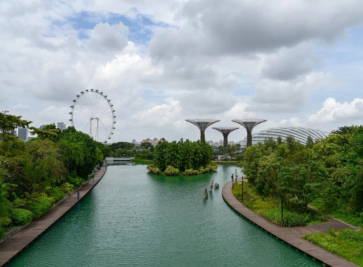 Stunning view of Supertree Grove with lush greenery and a tranquil pond in Singapore's Gardens by the Bay.