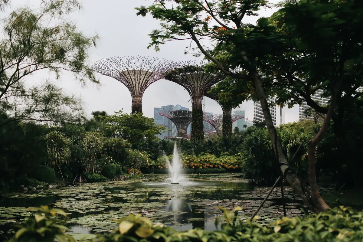 gardens by the bay, singapore, nature park, park, landmark, tourist destination, places of interest, structures, nature, buildings, architecture, city, skyline,