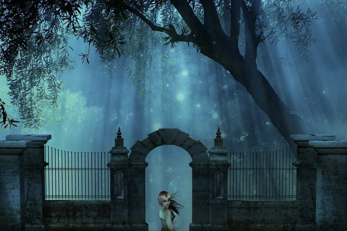 yard, night, fantasy, tree, nature, blue, light