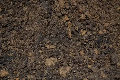 Garden soil and compost mix guide for proper drainage