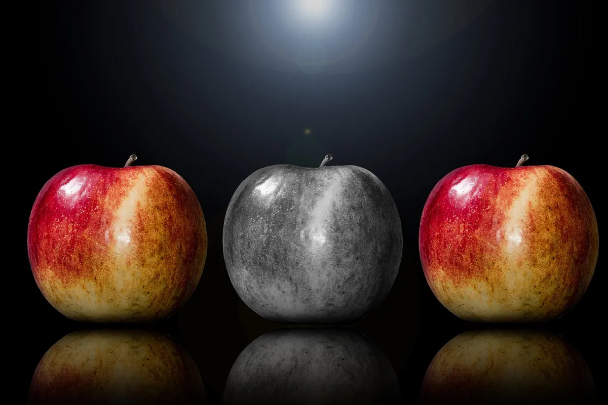apple, fruit, selection, especially, special feature, one of a kind, faith, uniqueness, individuality, excellent, unique, colour, the atmosphere, mood, attitude