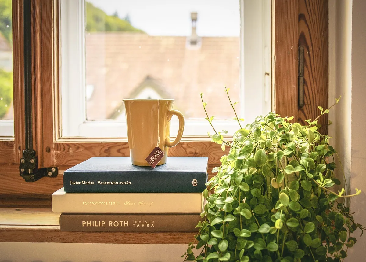 book, read, tee, literature, window sill, houseplant, window frames, novel, home, apartment, cup, book, book, book, book, home, home, home, home, home, apartmen