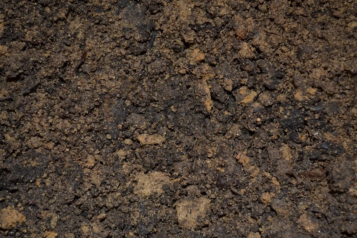dirt, soil, potting, mix, ground, mud, planting, seedling, nature, garden, agriculture, gardening, earth, plant, growth, land, natural, cultivated, field, grow,