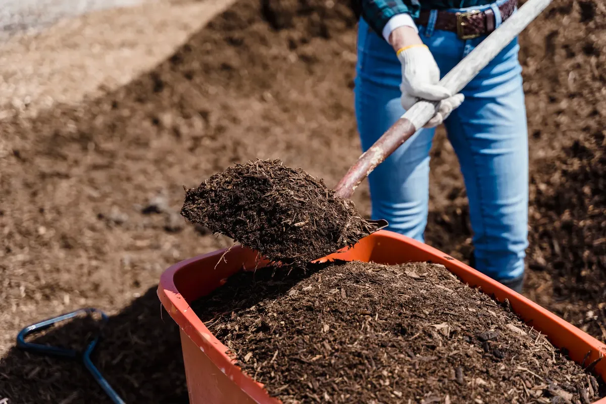 A person shovels compost into a red container, preparing soil for gardening.