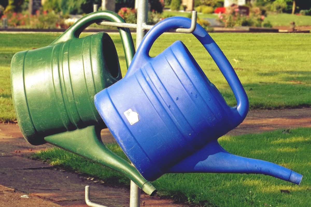 Gartenpflege mit Wasserkanne, Naturgarten, Abendlicht, Blätter, Böden