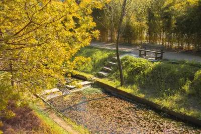 Gestion de l'eau : guide pour un jardin prospère et écologique 1