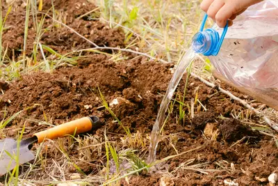 Risparmio idrico: guide per irrigazione a goccia e compostaggio 1