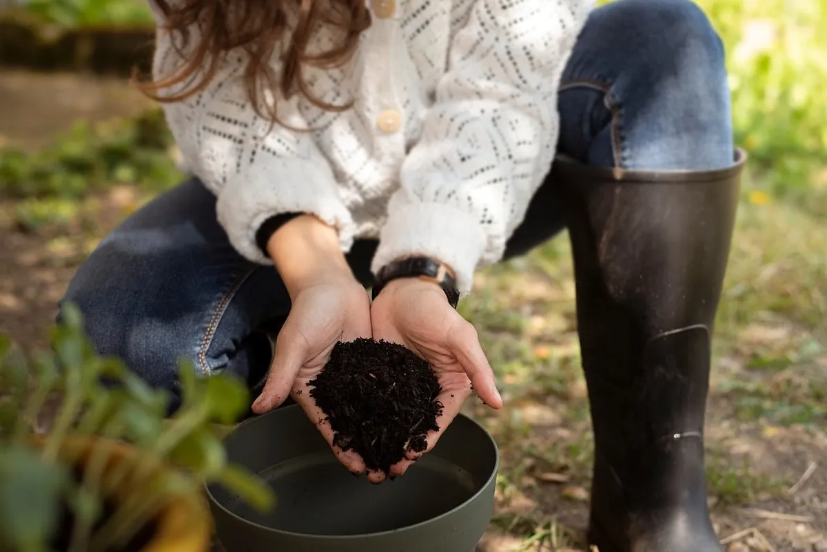 Pratiche per un giardino sostenibile