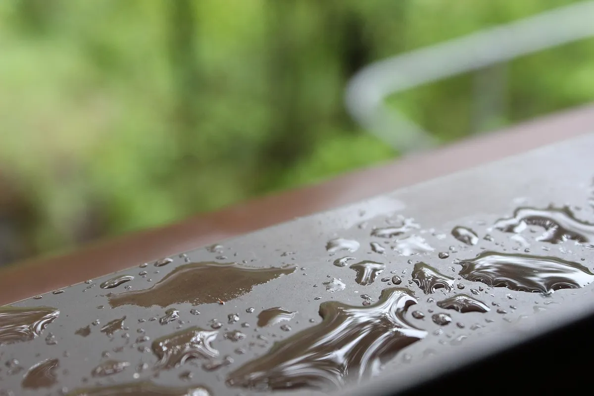 雨水を直接植物に与えることについて