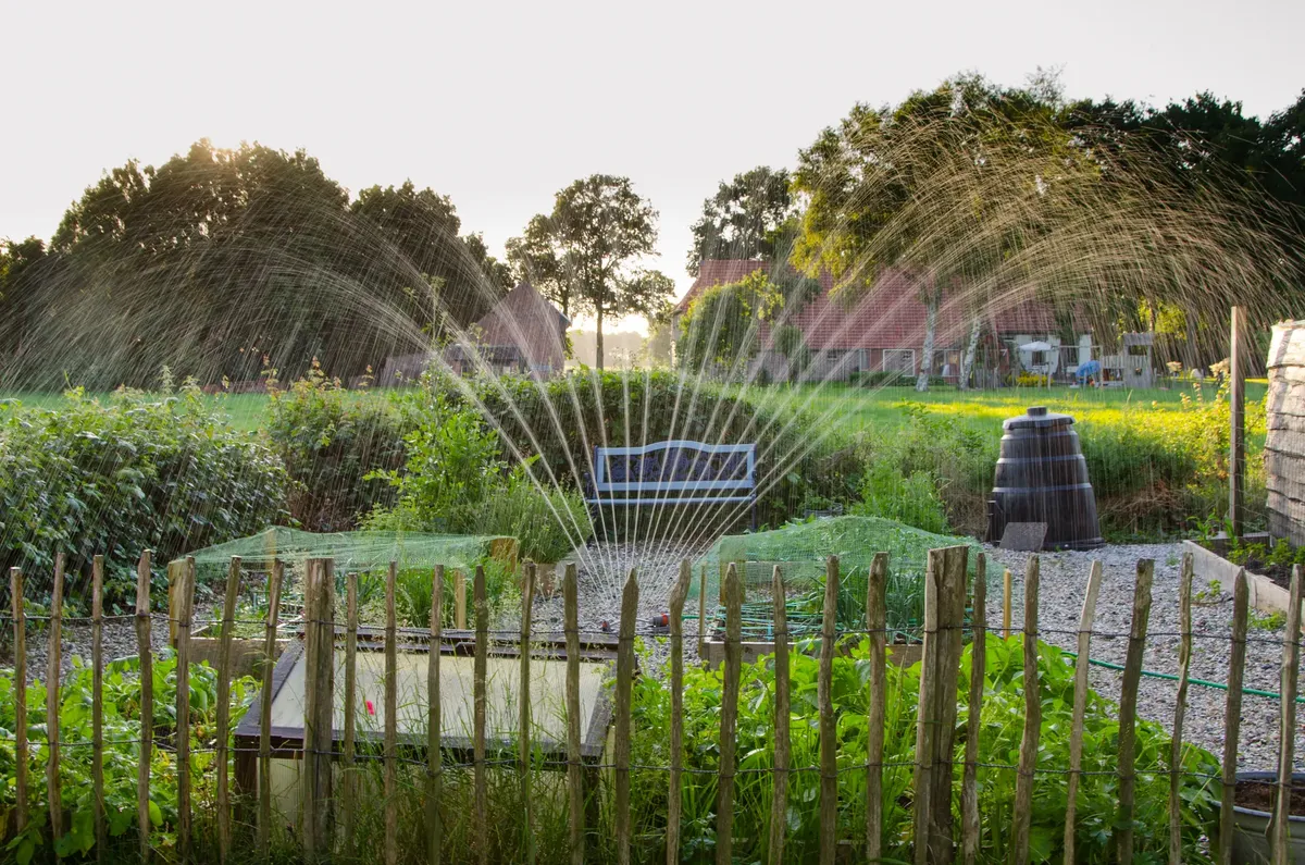 A peaceful garden scene with crops being irrigated by a sprinkler system during daylight.