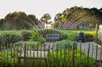 Waterbeheer: Tips voor een duurzame en gezonde tuin 2