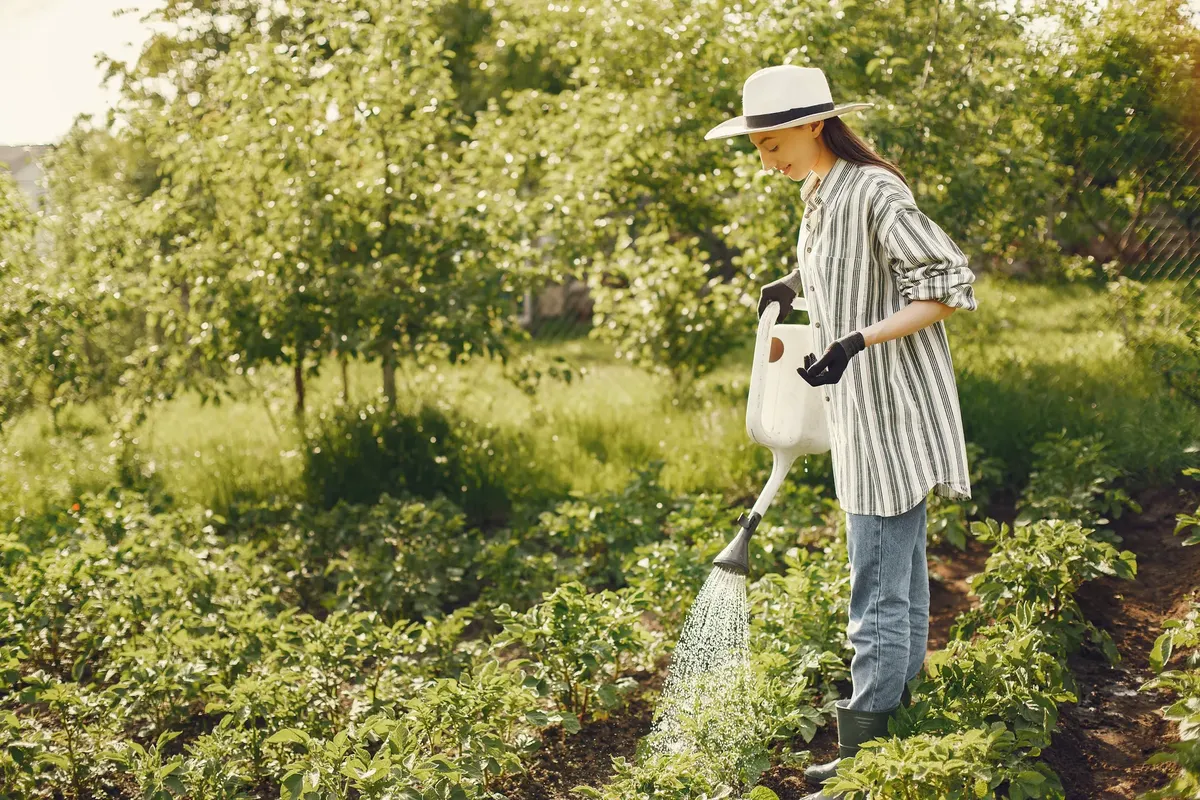 A woman waters plants in a sunny, vibrant garden, embodying home gardening and sustainability.