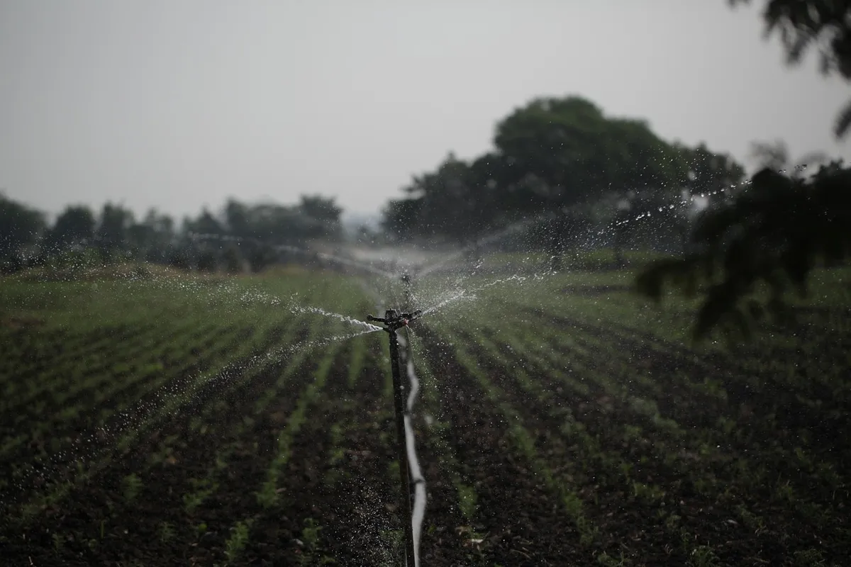 雨水收集桶與混凝土 trough 的接合點，展示集水系統的基礎結構