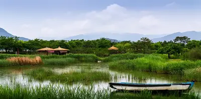 Tips for Eco Gardens: Suncheonman Garden Eco Strategy Guide