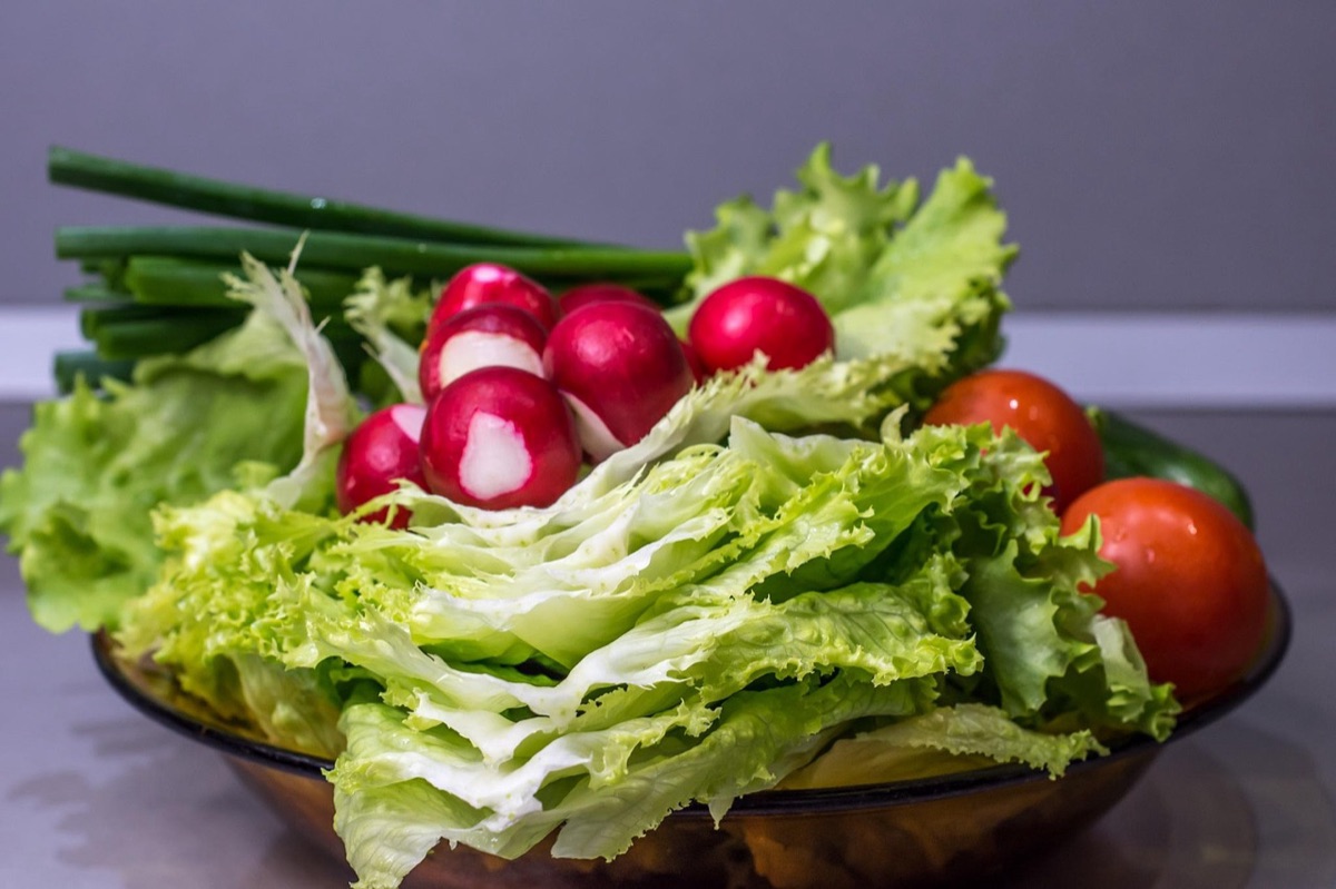 A variety of fresh vegetables growing in a home garden