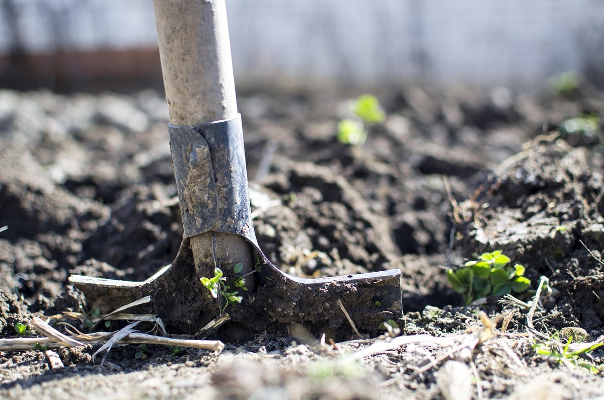 Rich organic compost and gardening tools for soil preparation