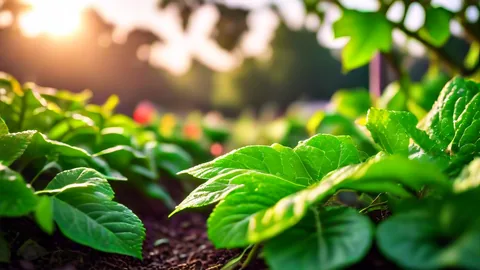 Cultivo de verduras: Guía con 4 tips para principiantes