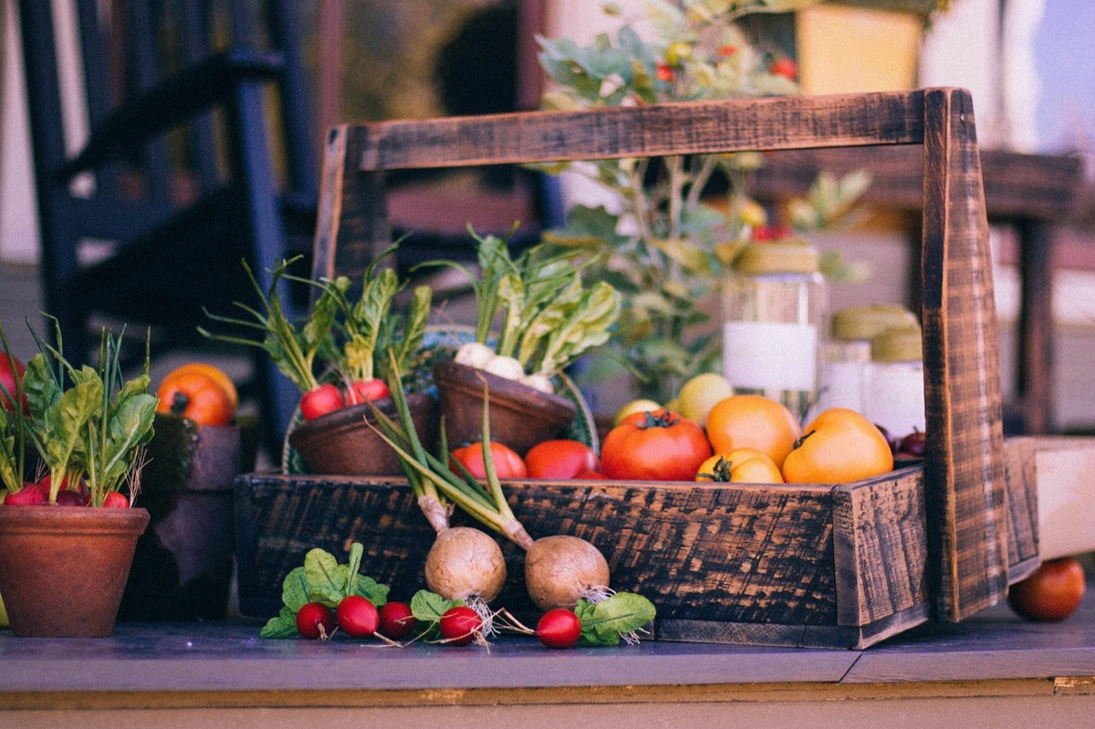Cesto di verdure fresche e biologiche appena raccolte